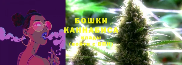 ALPHA PVP Беломорск