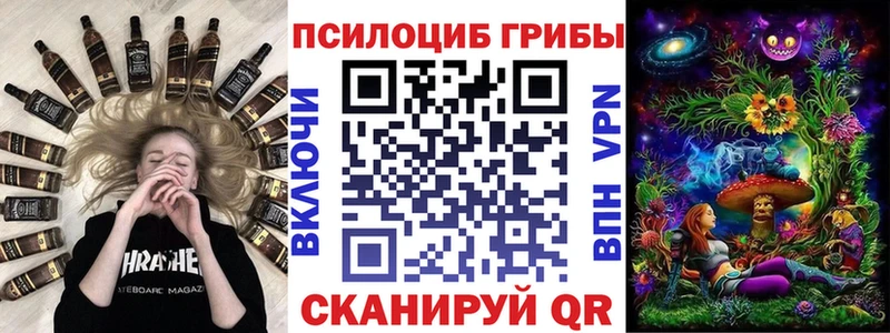 где купить   Белозерск  гидра зеркало  Галлюциногенные грибы Cubensis 